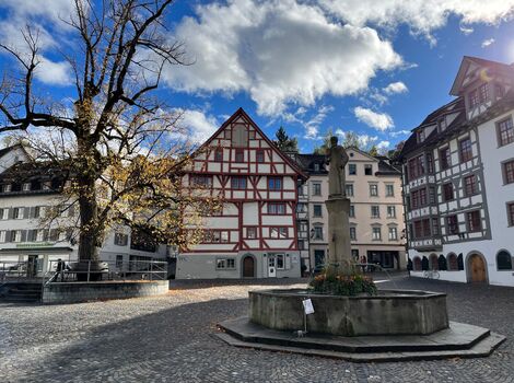 Historischer Stadtplatz mit einem runden Brunnen und einer Statue in der Mitte. Umgeben von Fachwerkhäusern; links steht ein großer Baum, der Himmel ist blau mit Wolken.