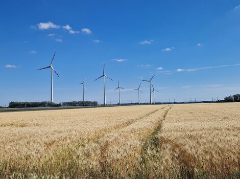 Ein weites Getreidefeld mit goldenen Ähren im Vordergrund; am Horizont stehen mehrere Windräder unter einem klaren blauen Himmel mit wenigen Wolken.